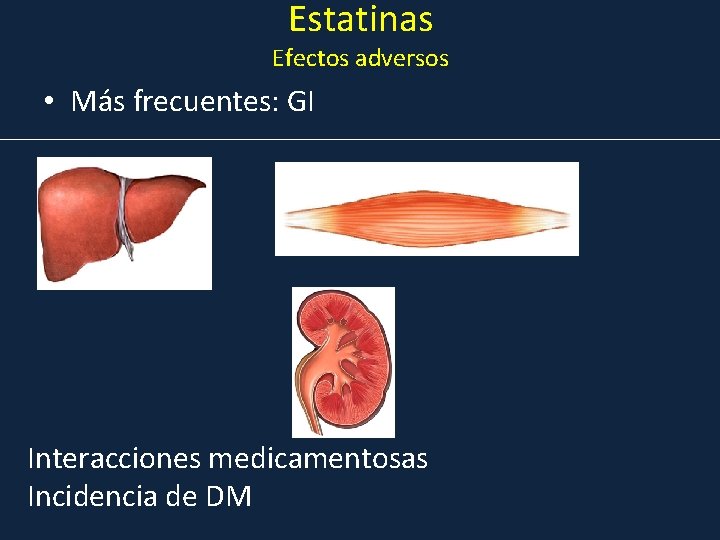 Estatinas Efectos adversos • Más frecuentes: GI Interacciones medicamentosas Incidencia de DM 