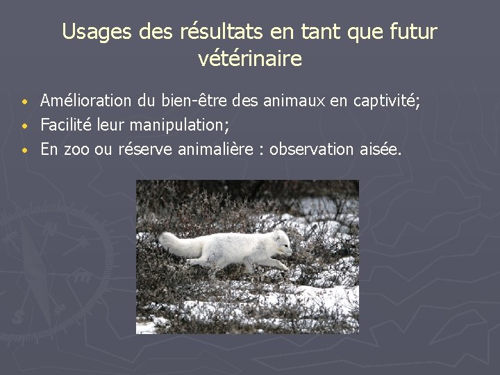 Usages des résultats en tant que futur vétérinaire Amélioration du bien-être des animaux en