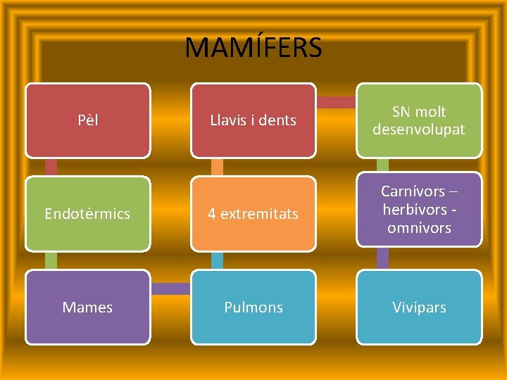 MAMÍFERS Llavis i dents SN molt desenvolupat Endotèrmics 4 extremitats Carnívors – herbívors omnívors