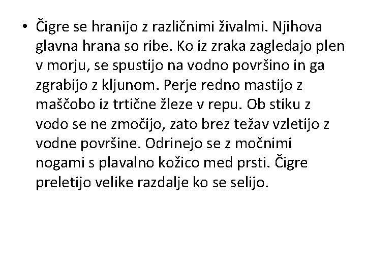  • Čigre se hranijo z različnimi živalmi. Njihova glavna hrana so ribe. Ko
