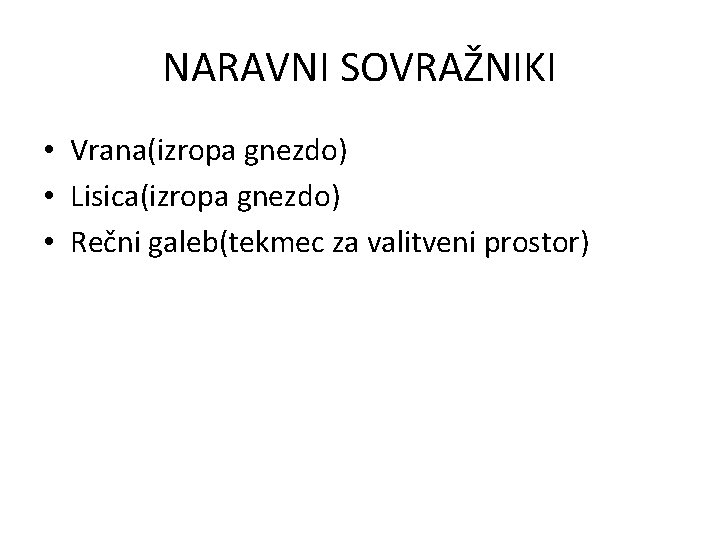 NARAVNI SOVRAŽNIKI • Vrana(izropa gnezdo) • Lisica(izropa gnezdo) • Rečni galeb(tekmec za valitveni prostor)