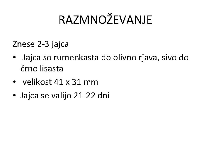 RAZMNOŽEVANJE Znese 2 -3 jajca • Jajca so rumenkasta do olivno rjava, sivo do