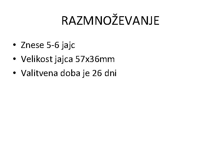 RAZMNOŽEVANJE • Znese 5 -6 jajc • Velikost jajca 57 x 36 mm •