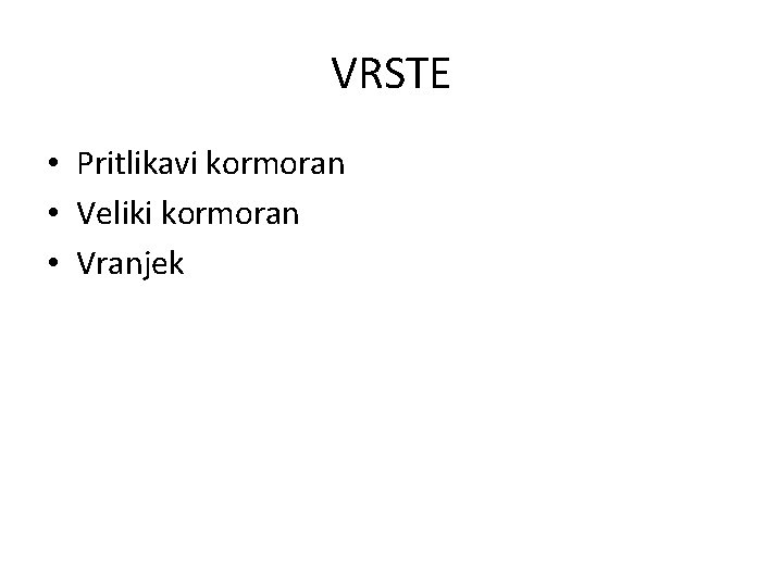 VRSTE • Pritlikavi kormoran • Veliki kormoran • Vranjek 