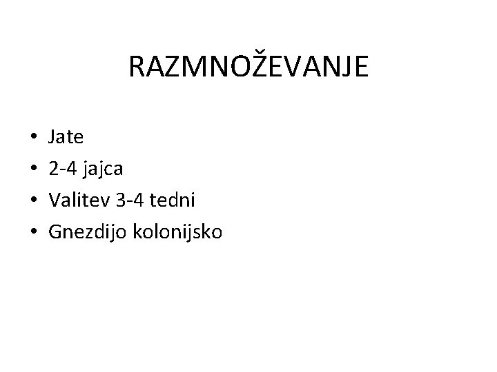 RAZMNOŽEVANJE • • Jate 2 -4 jajca Valitev 3 -4 tedni Gnezdijo kolonijsko 