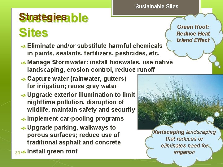 Sustainable Sites Strategies Sustainable Sites Green Roof: Reduce Heat Island Effect Eliminate and/or substitute