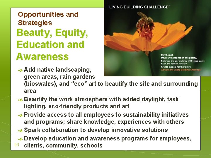 Beauty, Equity, Education Opportunities and Strategies Beauty, Equity, Education and Awareness Add native landscaping,
