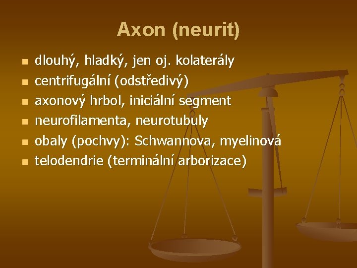 Axon (neurit) n n n dlouhý, hladký, jen oj. kolaterály centrifugální (odstředivý) axonový hrbol,
