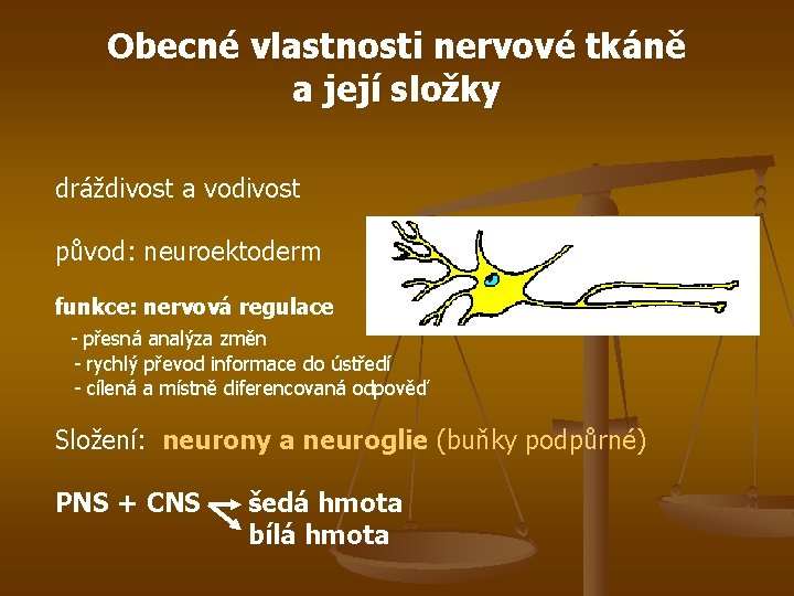 Obecné vlastnosti nervové tkáně a její složky dráždivost a vodivost původ: neuroektoderm funkce: nervová