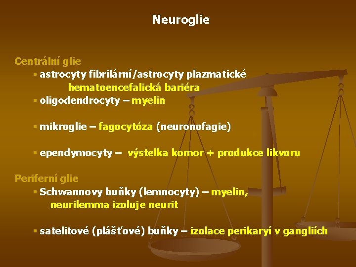 Neuroglie Centrální glie § astrocyty fibrilární/astrocyty plazmatické hematoencefalická bariéra § oligodendrocyty – myelin §