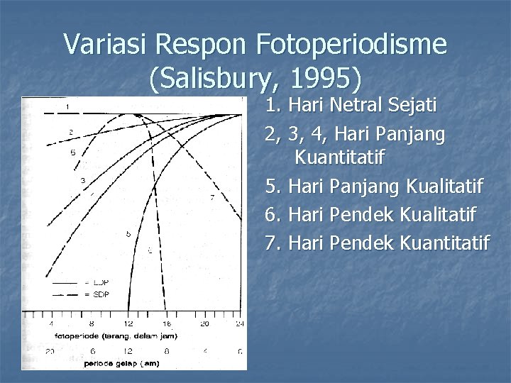 Variasi Respon Fotoperiodisme (Salisbury, 1995) 1. Hari Netral Sejati 2, 3, 4, Hari Panjang