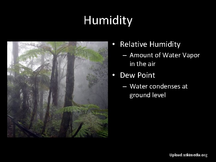 Humidity • Relative Humidity – Amount of Water Vapor in the air • Dew