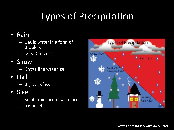 Types of Precipitation • Rain – Liquid water in a form of droplets –