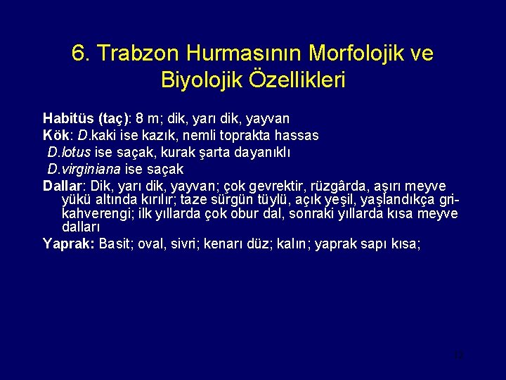 6. Trabzon Hurmasının Morfolojik ve Biyolojik Özellikleri Habitüs (taç): 8 m; dik, yarı dik,