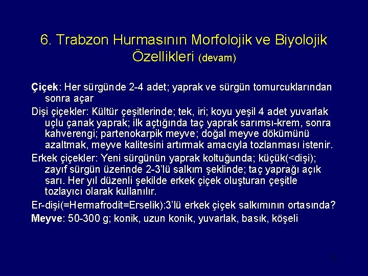 6. Trabzon Hurmasının Morfolojik ve Biyolojik Özellikleri (devam) Çiçek: Her sürgünde 2 -4 adet;