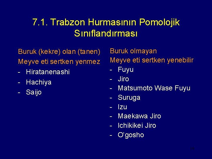 7. 1. Trabzon Hurmasının Pomolojik Sınıflandırması Buruk (kekre) olan (tanen) Meyve eti sertken yenmez