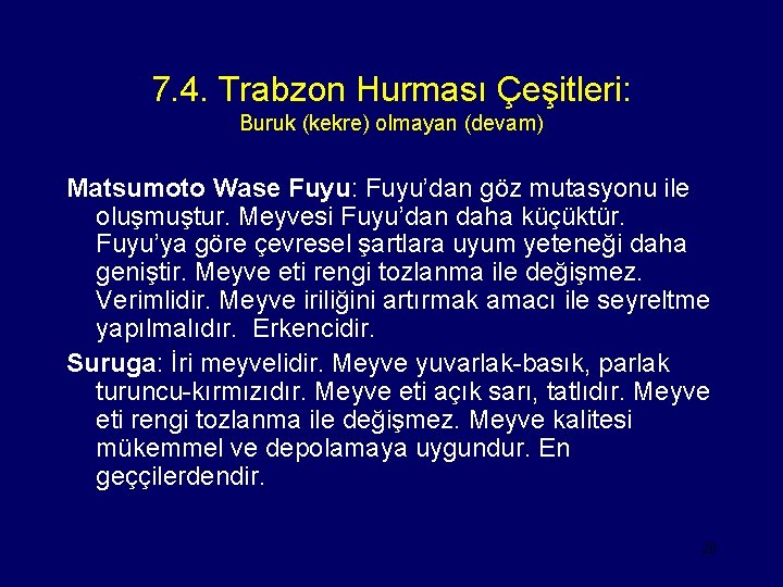 7. 4. Trabzon Hurması Çeşitleri: Buruk (kekre) olmayan (devam) Matsumoto Wase Fuyu: Fuyu’dan göz