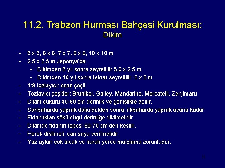 11. 2. Trabzon Hurması Bahçesi Kurulması: Dikim - - 5 x 5, 6 x