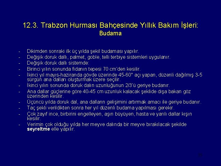 12. 3. Trabzon Hurması Bahçesinde Yıllık Bakım İşleri: Budama - Dikimden sonraki ilk üç