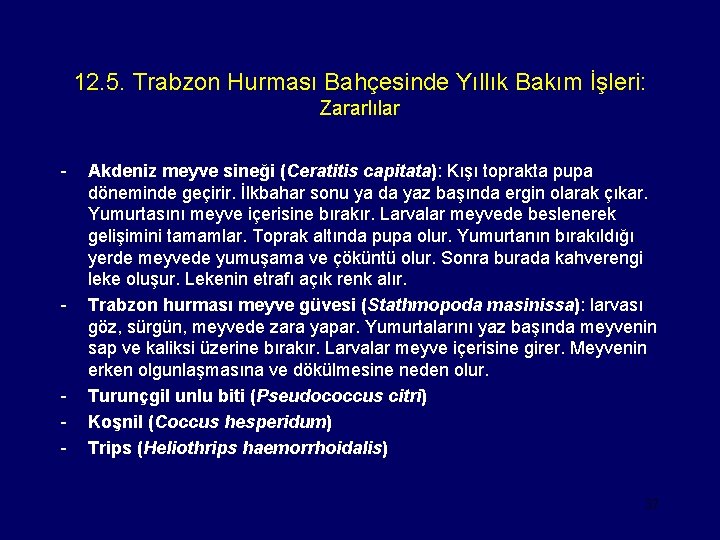 12. 5. Trabzon Hurması Bahçesinde Yıllık Bakım İşleri: Zararlılar - - - Akdeniz meyve