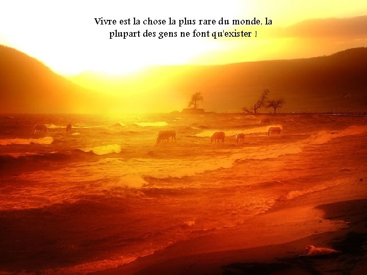 Vivre est la chose la plus rare du monde, la plupart des gens ne