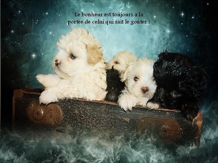 Le bonheur est toujours à la portée de celui qui sait le goûter !