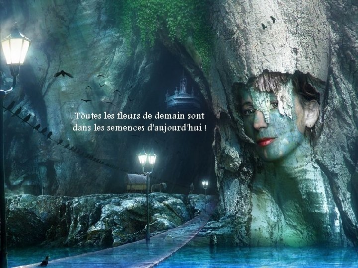 Toutes les fleurs de demain sont dans les semences d'aujourd'hui ! 