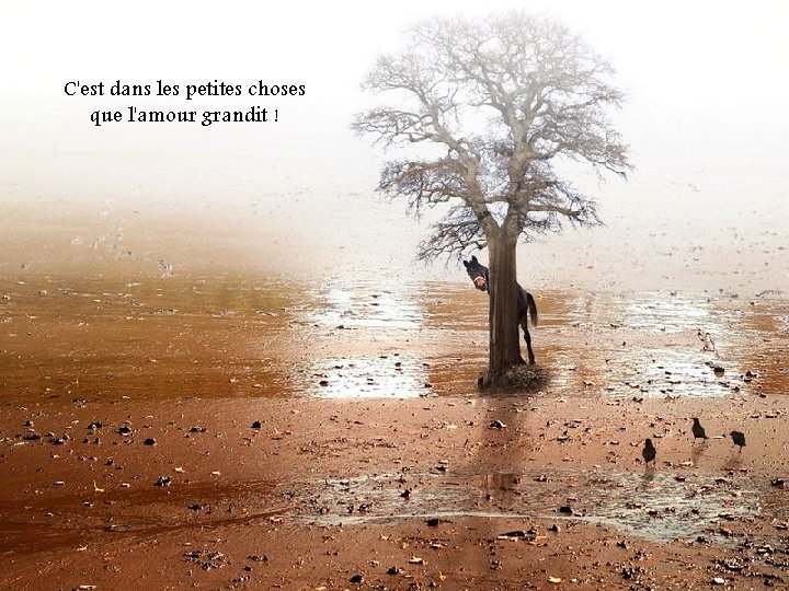 C'est dans les petites choses que l'amour grandit ! 