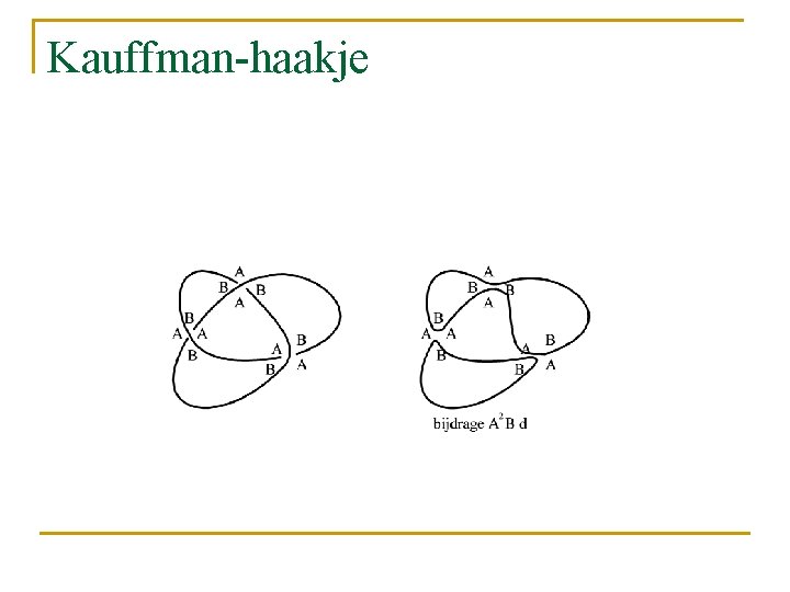 Kauffman-haakje 