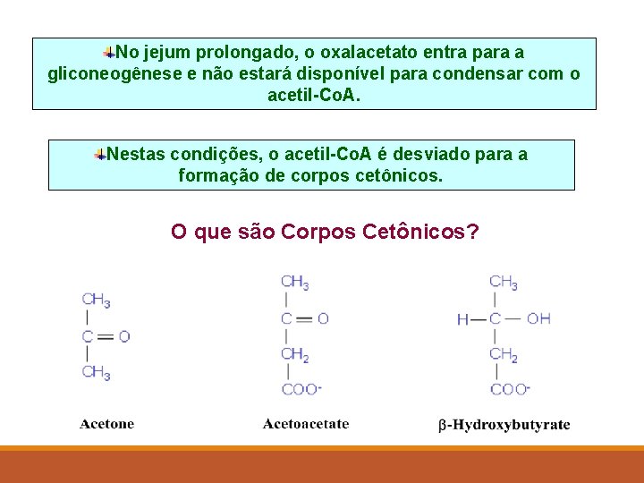 No jejum prolongado, o oxalacetato entra para a gliconeogênese e não estará disponível para