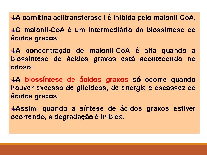 A carnitina aciltransferase I é inibida pelo malonil-Co. A. O malonil-Co. A é um