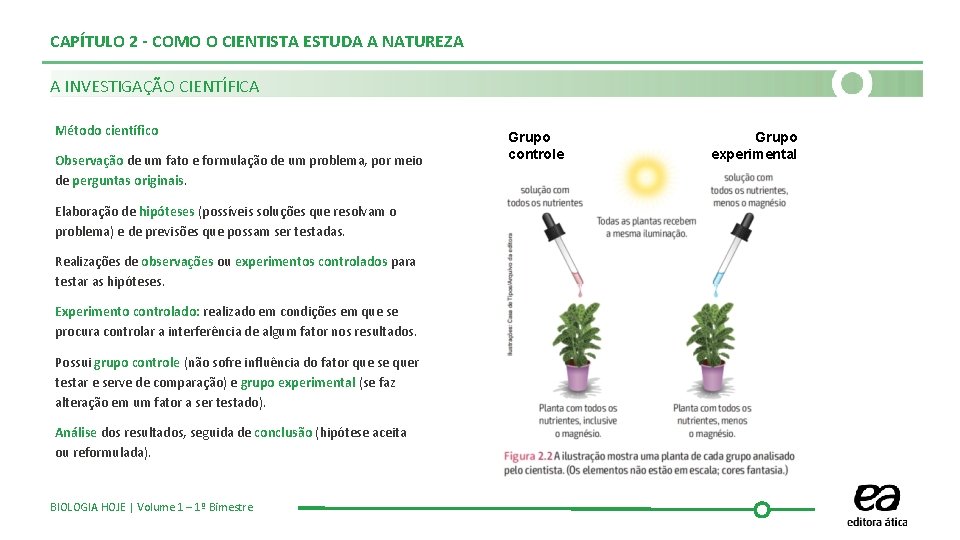 CAPÍTULO 2 - COMO O CIENTISTA ESTUDA A NATUREZA A INVESTIGAÇÃO CIENTÍFICA Método científico