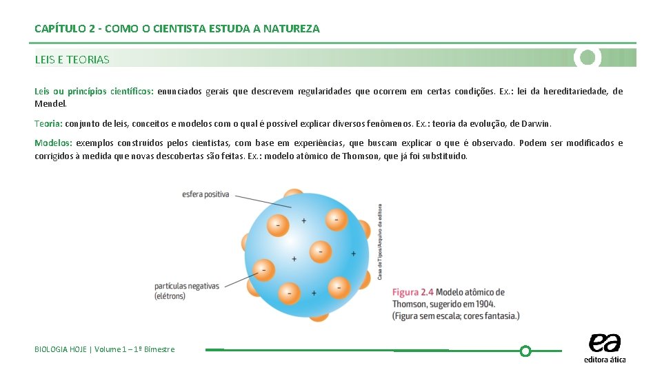 CAPÍTULO 2 - COMO O CIENTISTA ESTUDA A NATUREZA LEIS E TEORIAS Leis ou