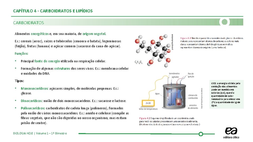 CAPÍTULO 4 - CARBOIDRATOS E LIPÍDIOS CARBOIDRATOS Alimentos energéticos e, em sua maioria, de