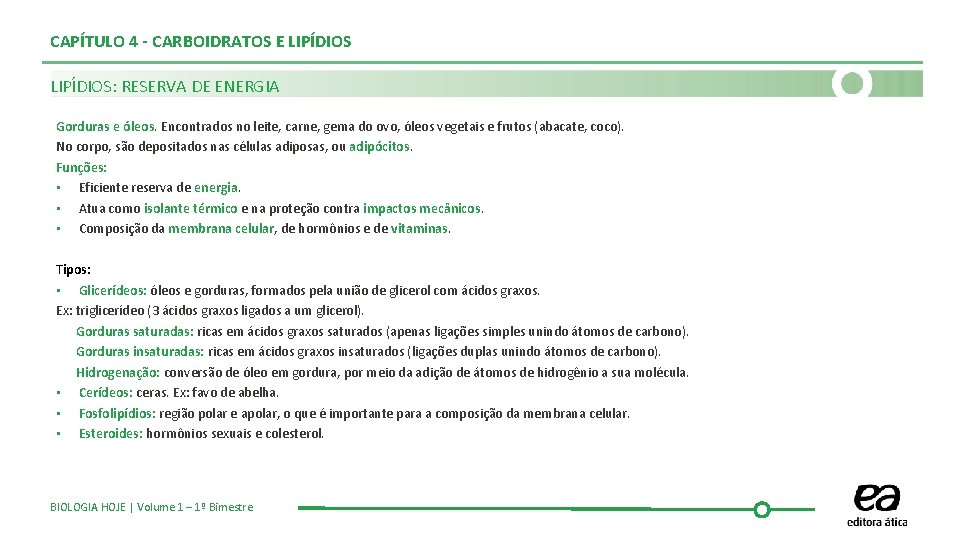 CAPÍTULO 4 - CARBOIDRATOS E LIPÍDIOS: RESERVA DE ENERGIA Gorduras e óleos. Encontrados no