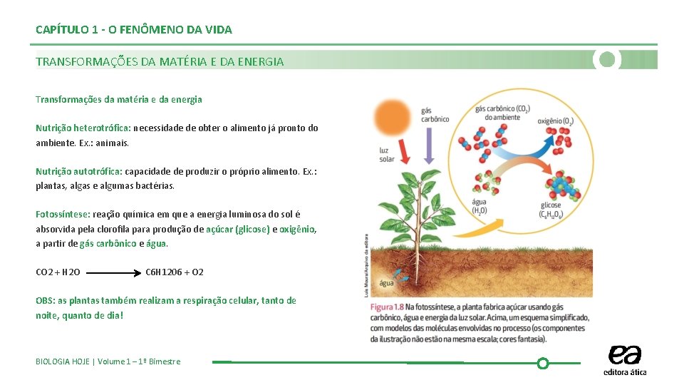 CAPÍTULO 1 - O FENÔMENO DA VIDA TRANSFORMAÇÕES DA MATÉRIA E DA ENERGIA Transformações