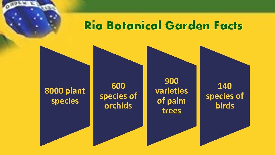 Rio Botanical Garden Facts 8000 plant species 600 species of orchids 900 varieties of