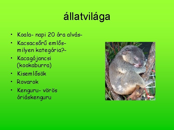 állatvilága • Koala- napi 20 óra alvás • Kacsacsőrű emlősmilyen kategória? • Kacagójancsi (kookaburra)