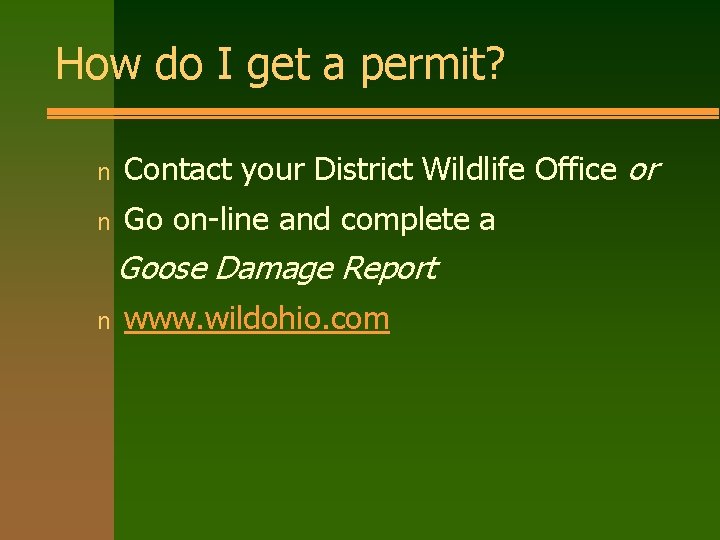 How do I get a permit? n Contact your District Wildlife Office or n