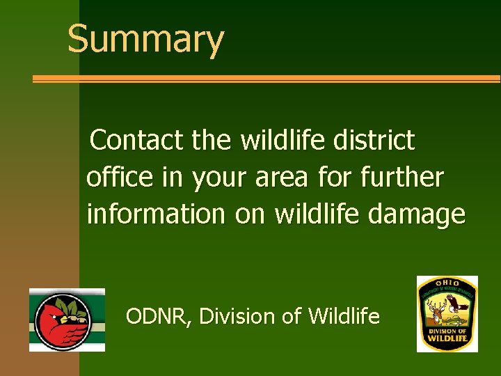 Summary Contact the wildlife district office in your area for further information on wildlife