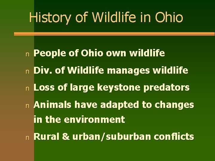 History of Wildlife in Ohio n People of Ohio own wildlife n Div. of