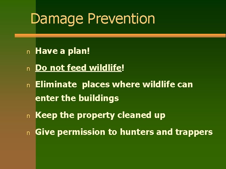 Damage Prevention n Have a plan! n Do not feed wildlife! n Eliminate places