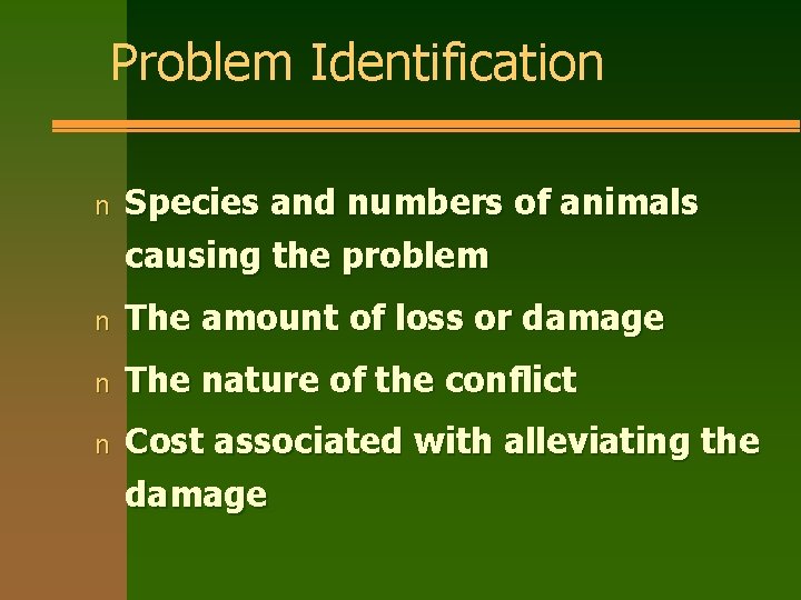 Problem Identification n Species and numbers of animals causing the problem n The amount