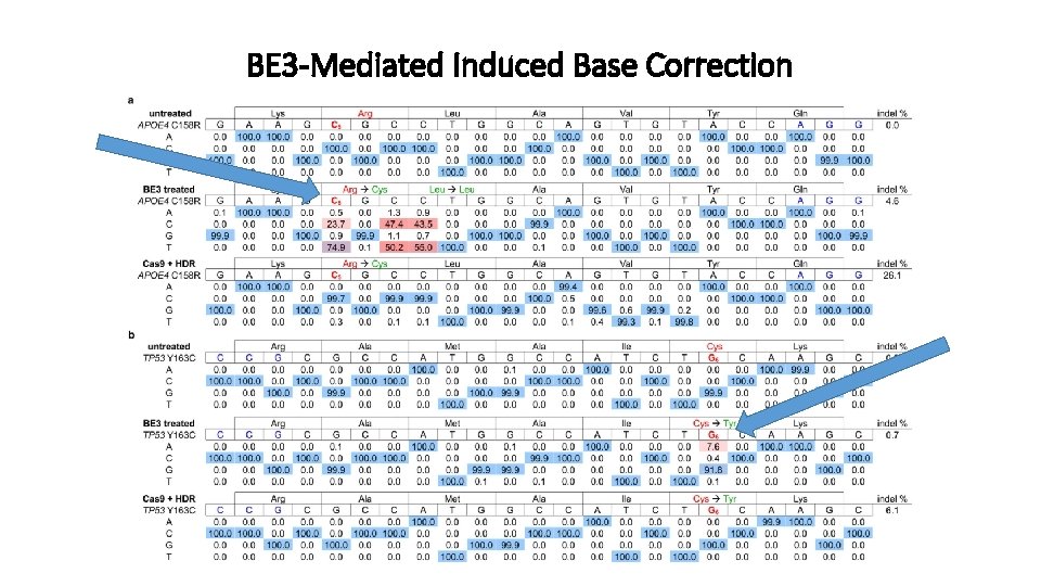 BE 3 -Mediated Induced Base Correction 