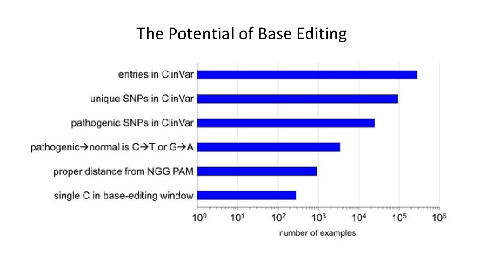 The Potential of Base Editing 