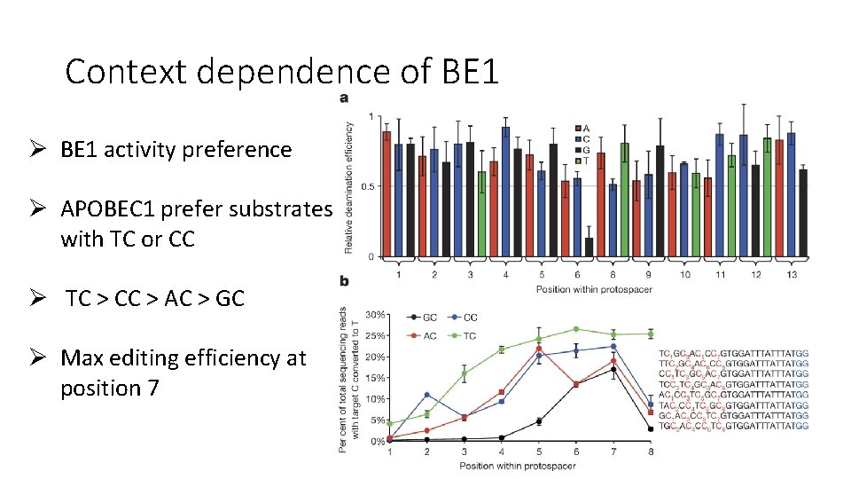 Context dependence of BE 1 Ø BE 1 activity preference Ø APOBEC 1 prefer