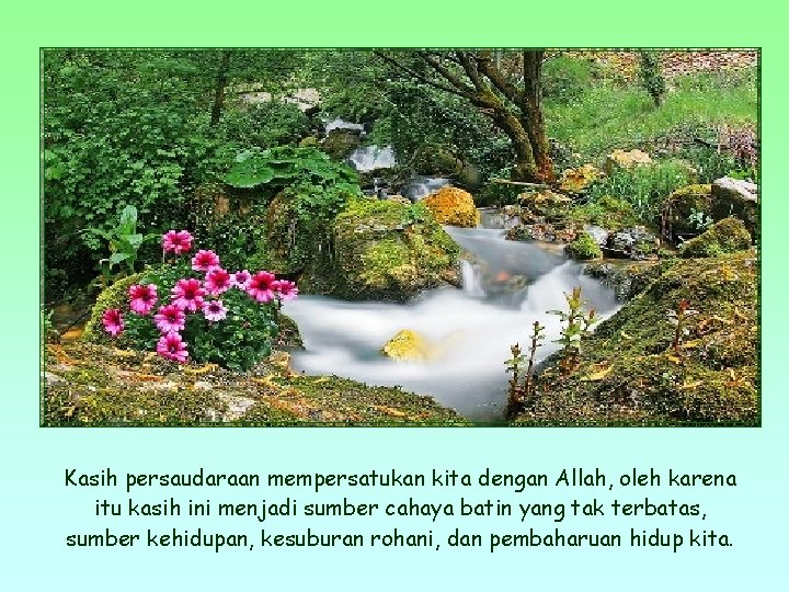 Kasih persaudaraan mempersatukan kita dengan Allah, oleh karena itu kasih ini menjadi sumber cahaya