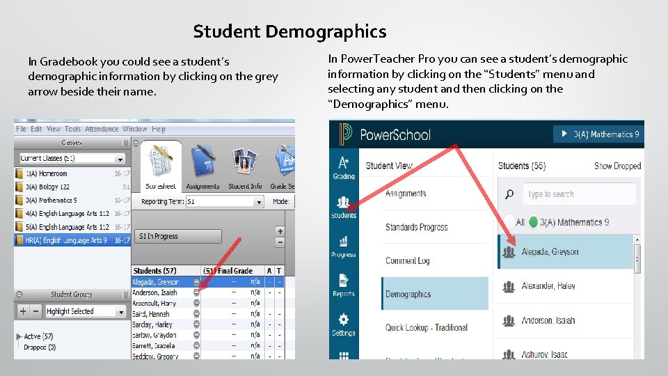 Student Demographics In Gradebook you could see a student’s demographic information by clicking on