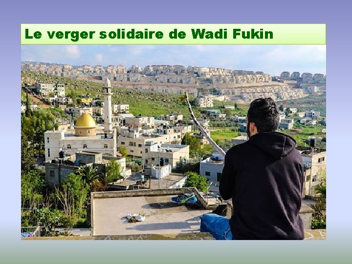 Le verger solidaire de Wadi Fukin 