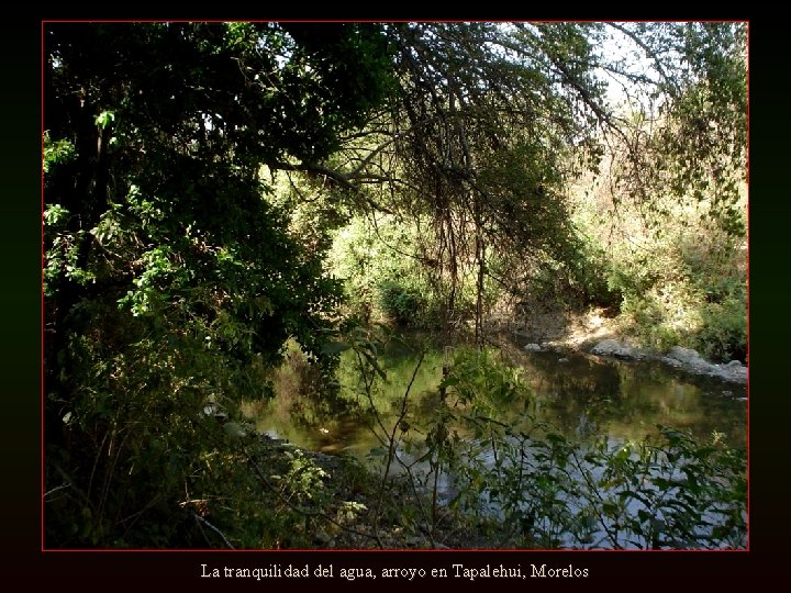 La tranquilidad del agua, arroyo en Tapalehui, Morelos 